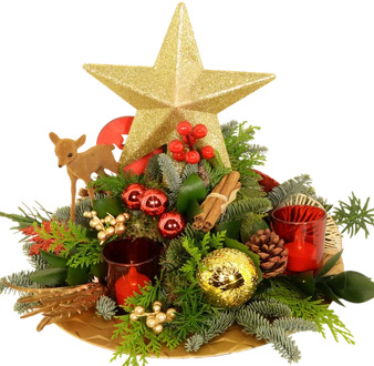 Kerststuk gouden ster Poolster rood-goud