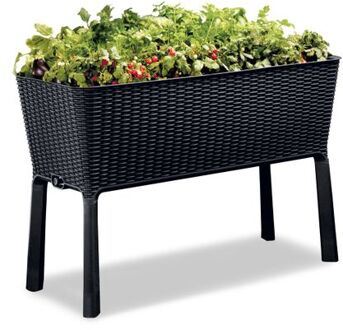 Keter Easy Grow Plantenbak 120 L. Zwart