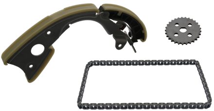 Kettingset Distributie Audi Vw