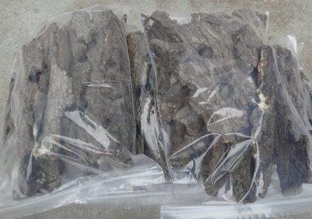 Kever Klimmen Boomschors Bladverliezende Boom Bark Pet Kevers Eenhoorn Beetle Pocket Worm Spade Een Decoratieve Items 300G X 1Pcs