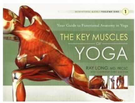 Key Muscles of Yoga