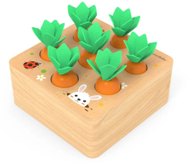 Kids Montessori Toys Block Set Alpinia Shape Matching Toys For Children Baby Wooden Size Cognition Carrot Game Early Education