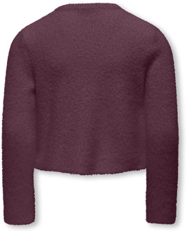 KIDS ONLY meisjes trui Mauve - 146-152