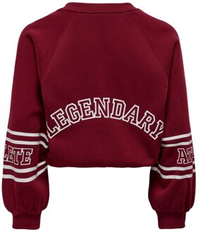 KIDS ONLY Pullover alleen voor kinderen Rood