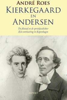 Kierkegaard en Anderson - Boek André Roes (9463382151)