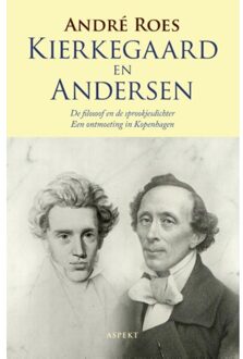 Kierkegaard en Anderson - Boek André Roes (9463382151)