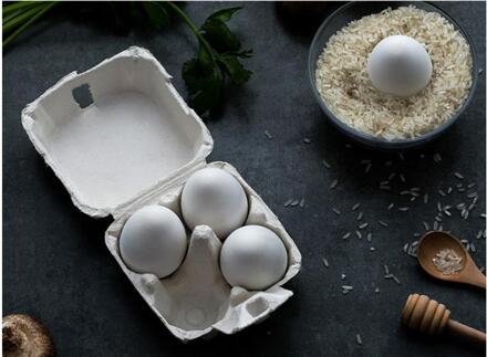 Kiezelgoer Vochtopname Drogen Deodorant Ei Koelkast Milieubescherming Diatomeeënaarde Deodorant Ei wit