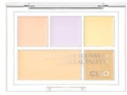 Kill Cover Founwear Conceal Palette - 2 Types #01 Pure Joy