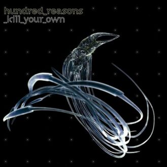 Kill Your Own - Hundred Reasons