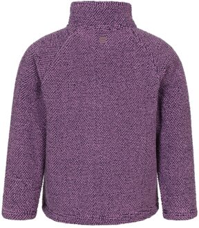 Kinder/Kids Ash Melange Full Zip Fleecejack (Donkerpaars)