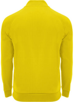 Kinder/kids epiro sweatshirt met lange mouwen en korte mouwen Geel - 104
