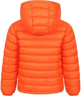 Kinder/Kids Seasons II gewatteerde jas (Neon Oranje) - 13J / 158cm