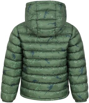 Kinder/Kids Seizoenen Dinosaurus Gewatteerde Jas (Kaki Groen) - 7-8J / 122-128cm