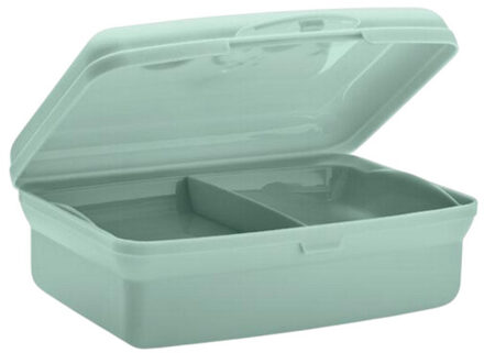 Kinder/kids sud polypropyleen 700ml lunchbox - maat One size Groen