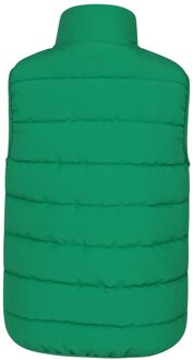 Kinder/Kinder Rocko Gewatteerd Gilet (Groen) - maat