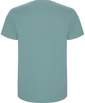 Kinder/kinder stafford t-shirt met korte mouwen Blauw - 116