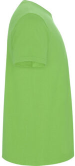 Kinder/kinder stafford t-shirt met korte mouwen Groen - 140