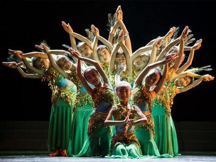 Kinderen Dai pauw kostuums dans kleding meisjes kleine fishtail rok Dai pauw dans lovertjes jurk 120