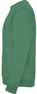 Kinderen/kinderen clasica sweatshirt met ronde hals Groen - 140