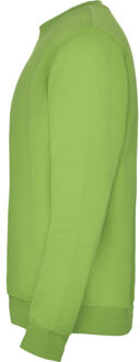 Kinderen/kinderen clasica sweatshirt met ronde hals - maat 104 Groen