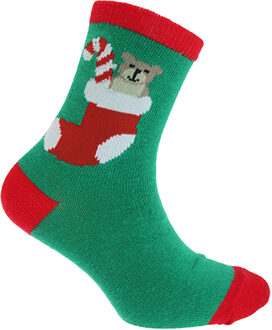Kinderen/kinderen Kerstmis Sokken (Groene Beer)