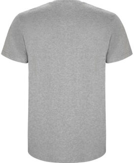 Kinderen/kinderen stafford t-shirt Grijs - 128