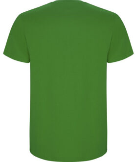 Kinderen/kinderen stafford t-shirt Groen - 140