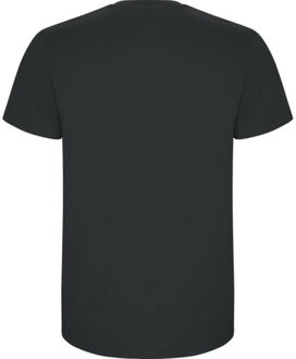 Kinderen/kinderen stafford t-shirt - maat 140 Zwart