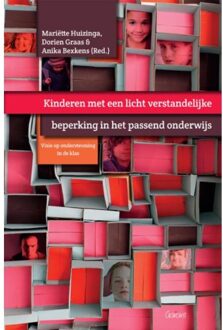 Kinderen met een licht verstandelijke beperking in het passend onderwijs - Boek Maklu, Uitgever (9044135066)