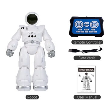 Kinderen Smart Rc Robot Intelligente Afstandsbediening Ruimte Robots Sing Dance Gesture Control Robot Speelgoed Voor Kinderen Jongen Meisje