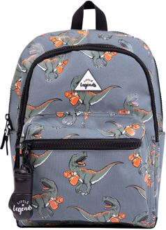 Kinderrugzak Large Dino Boxing grey