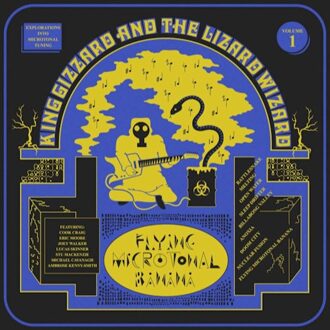 King Gizzard And The Liza - Flying Microtonal Banana