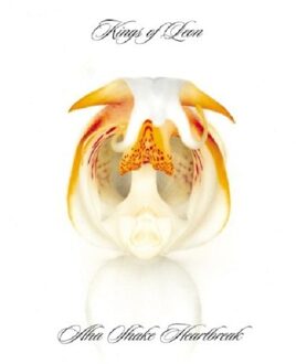 Kings Of Leon - Aha Shake Heartbreak