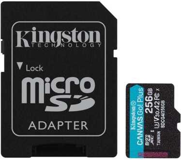 Kingston Canvas Go Plus 256GB microSD