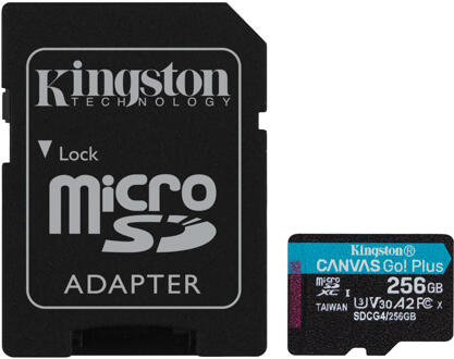 Kingston Canvas Go Plus 256GB microSD