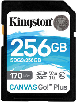 Kingston Canvas Go Plus 256GB