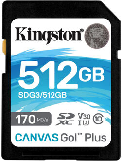 Kingston Canvas Go Plus 512GB