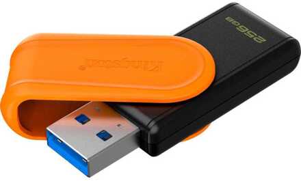 Kingston DataTraveler Exodia S 256 GB USB-stick