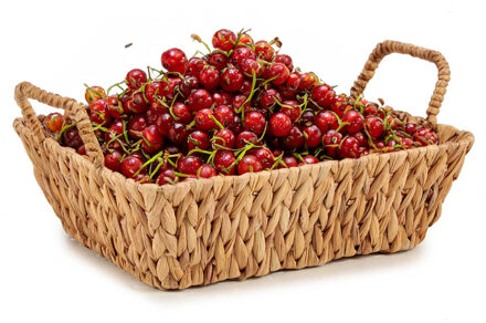 Kinvara Fruitschaal/fruitmand Rattan - gevlochten riet - 40 x 28 x 9 cm - naturel - Fruitschalen Beige