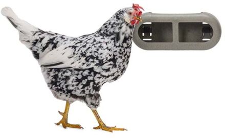 Kippenvoerbak - 14x13x30 cm - Grijs Groen