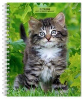 Kittens 2025 6 X 7.75 Inch Spiral-Bound Wire-O Weekly Engagement Planner Calendar New Full-Color - Browntrout