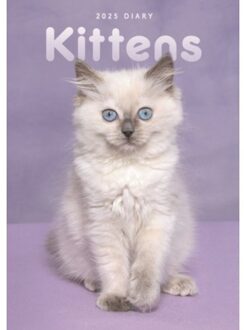 Kittens A5 Diary 2025 - Calendars, Carousel