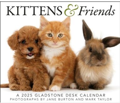 Kittens & Friends Box Calendar 2025 - Media, Gladstone