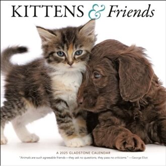 Kittens & Friends Square Wall Calendar 2025 - Media, Gladstone