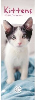 Kittens Slim Calendar 2025 - Calendars, Carousel