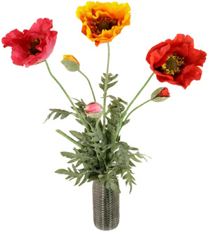 Klaprozen XXL H 80 - 120 cm