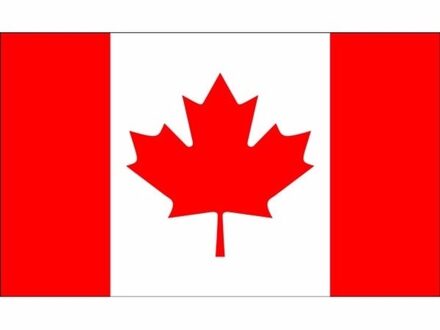 Klein formaat supporters landen vlag Canada - 60 x 90 cm - Landen feestartikelen - polyester