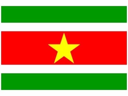 Klein formaat supporters landen vlag Suriname - 60 x 90 cm - Landen feestartikelen - polyester Multi