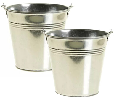Klein zinken emmertje - 2x - zilver - 15 cm hoog - metaal - bloempot - plantenpot