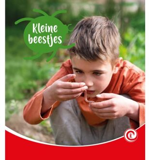 Kleine Beestjes - Kijkdoos - Minke van Dam
